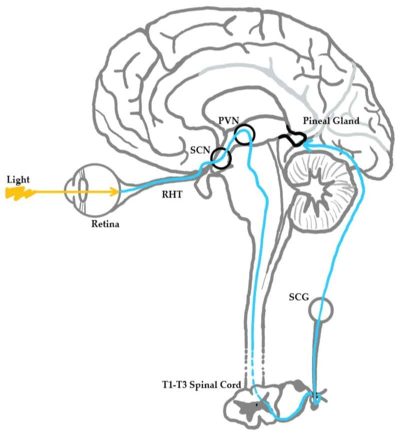 Εικόνα2-science-explained Εικόνα2-science-explained